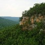 Savage Gulf