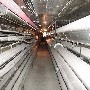 Vanderbilt Steam Tunnel