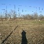 Caryonah Ranch - Deer Photos