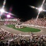 Celebration - Calsonic Horse Arena