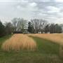 Cedar Grove Plantation circa 1850