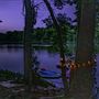 Luxurious 5 acre lakefront getaway in the woods