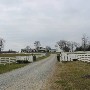 Bridlewood Farm