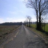 Robertson County Roads