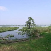 Lake County