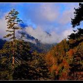 Great Smoky Mountains