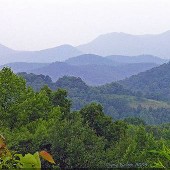 East Tennessee Landscapes