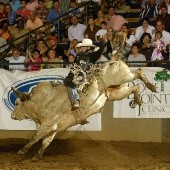 Williamson Ag Expo Center