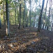 Camp Vesper Point