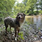 Hurricane Creek