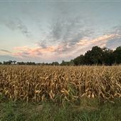 Hair Trigger Farm