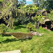 Nashville Zoo