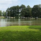 Tims Ford State Park