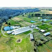 Tuckahoe Farm