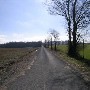Robertson County Roads