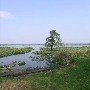Lake County