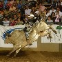 Williamson Ag Expo Center