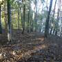 Camp Vesper Point