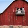 Cogan's Farm