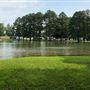 Tims Ford State Park