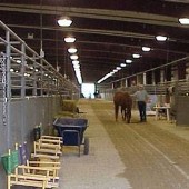 Henry/Stafford East TN Agricultural Exposition Center