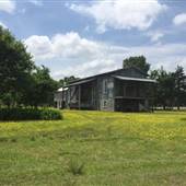 Green Frog Farm