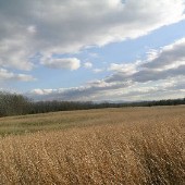 Fort Loudon State Historical Area