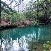 Bakewell Mountain, off of Cumberland Trail