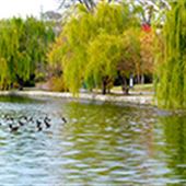 Centennial Park