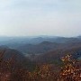 E. TN Scenics