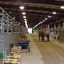 Henry/Stafford East TN Agricultural Exposition Center