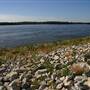 Mississippi River