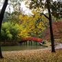 Memphis Botanical Gardens
