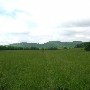 Bells Bend Metro Park