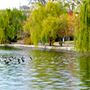 Centennial Park