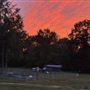 Nuriel's Farm