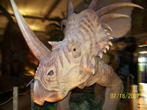 Dinosaur Walk - Pigeon Forge