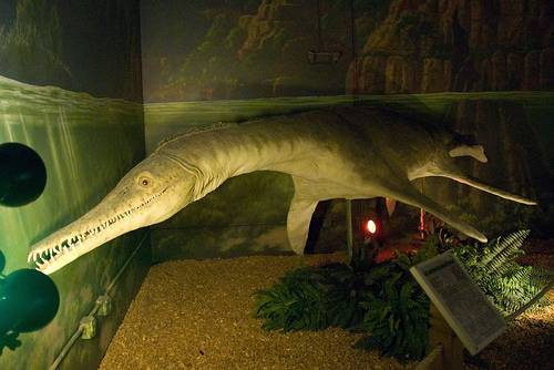 Dinosaur Walk - Pigeon Forge