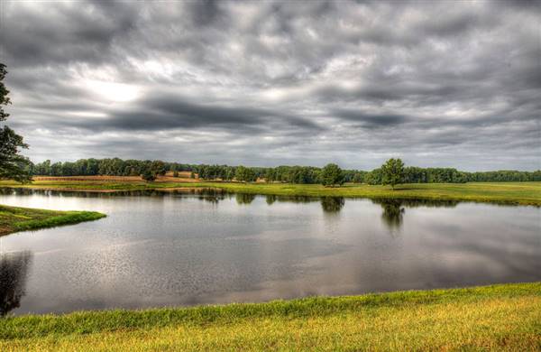 Lone Oaks Farm